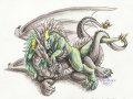 1319758404.curiodraco_maly.jpg